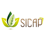 sicap